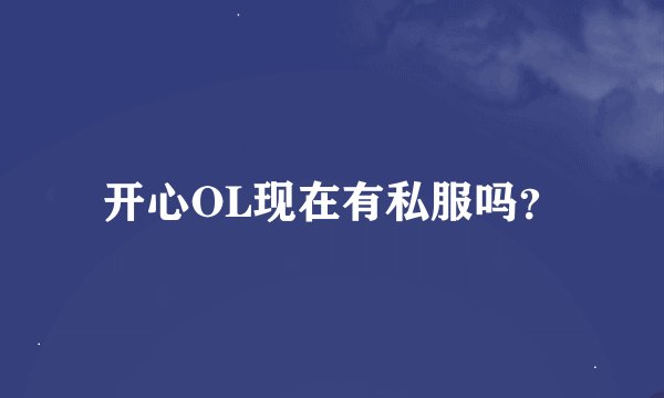 开心OL现在有私服吗？