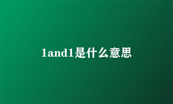 1and1是什么意思