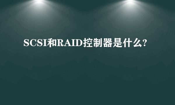 SCSI和RAID控制器是什么?