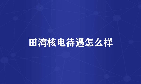 田湾核电待遇怎么样