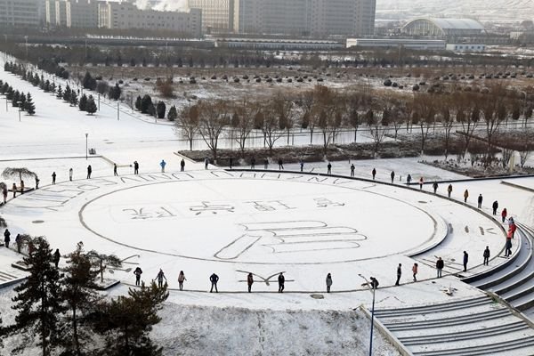 一美术老师雪地中扫出巨幅雪竹图,她的作品为何引得多数人点赞?