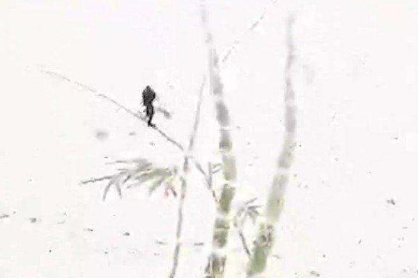 一美术老师雪地中扫出巨幅雪竹图，她的作品为何引得多数人点赞？