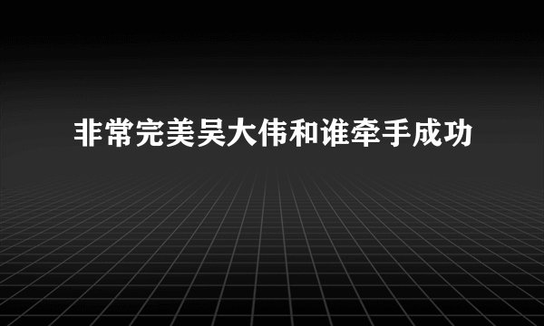 非常完美吴大伟和谁牵手成功