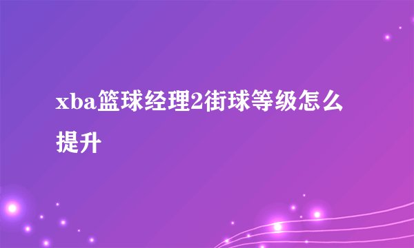 xba篮球经理2街球等级怎么提升