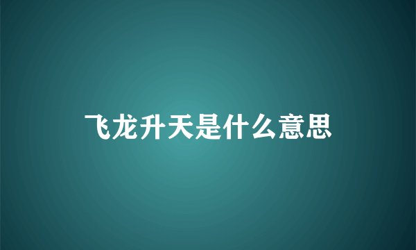 飞龙升天是什么意思