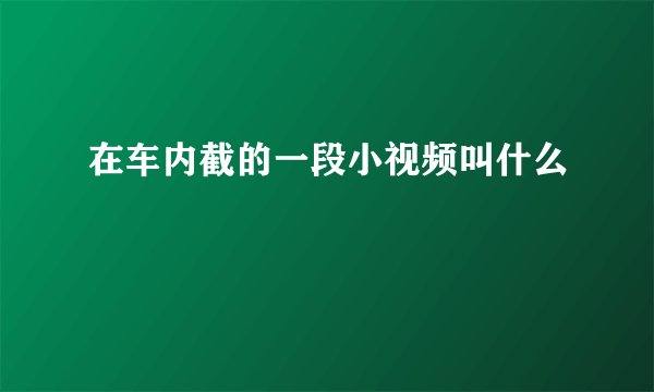 在车内截的一段小视频叫什么