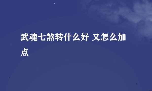 武魂七煞转什么好 又怎么加点