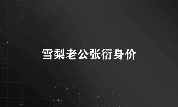 雪梨老公张衍身价