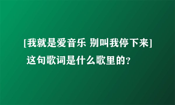 [我就是爱音乐 别叫我停下来] 这句歌词是什么歌里的？
