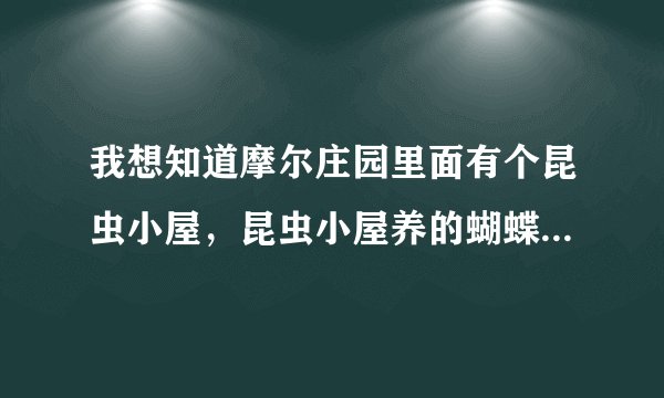 我想知道摩尔庄园里面有个昆虫小屋，昆虫小屋养的蝴蝶和蚕喂什么，去哪里给他们买食物