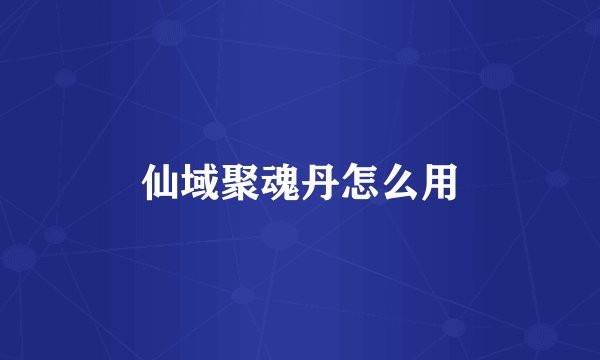 仙域聚魂丹怎么用