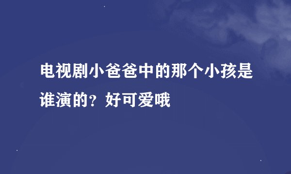 电视剧小爸爸中的那个小孩是谁演的?好可爱哦