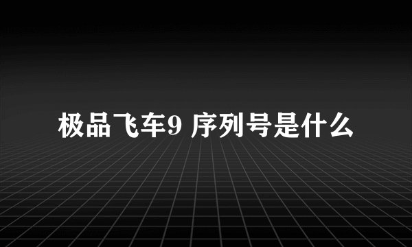 极品飞车9 序列号是什么