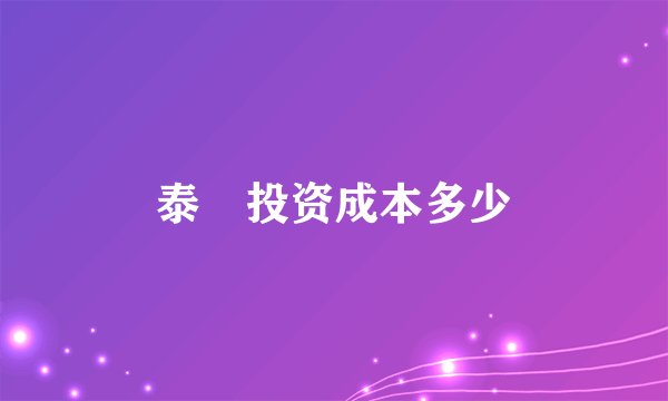 泰囧投资成本多少