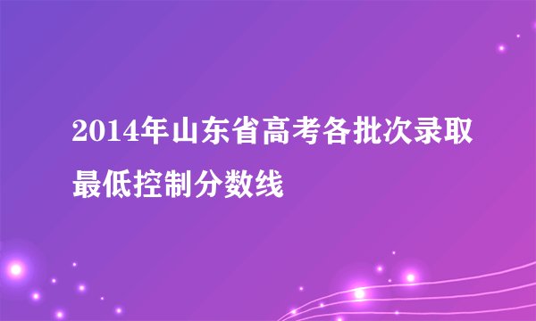 2014年山东省高考各批次录取最低控制分数线