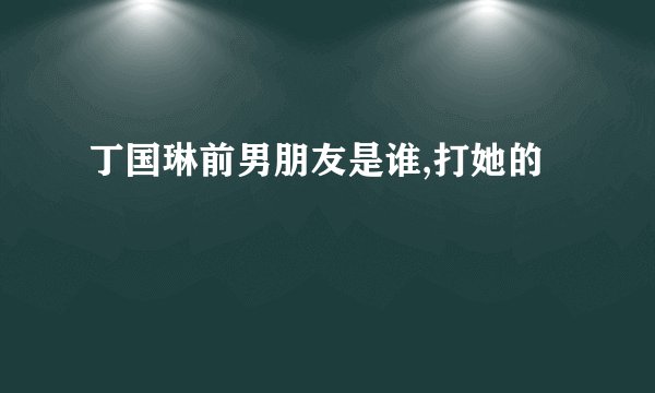 丁国琳前男朋友是谁,打她的