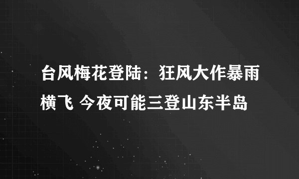 台风梅花登陆:狂风大作暴雨横飞 今夜可能三登山东半岛