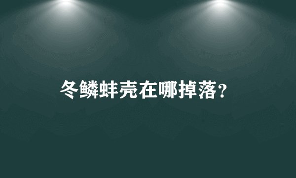 冬鳞蚌壳在哪掉落?