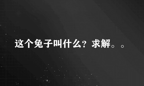 这个兔子叫什么？求解。。