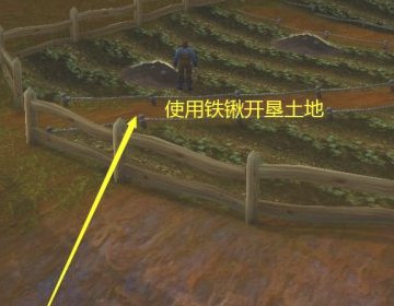 魔兽世界 贵族的花园这个成就怎么做,在线等