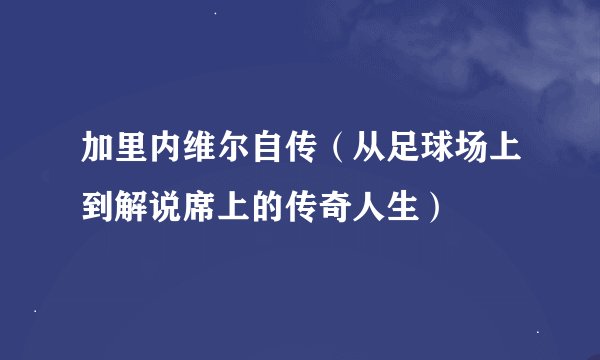 加里内维尔自传（从足球场上到解说席上的传奇人生）