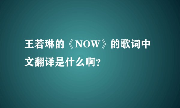 王若琳的《NOW》的歌词中文翻译是什么啊？