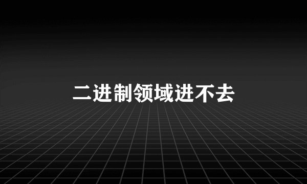 二进制领域进不去