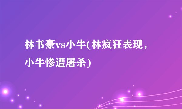 林书豪vs小牛(林疯狂表现，小牛惨遭屠杀)