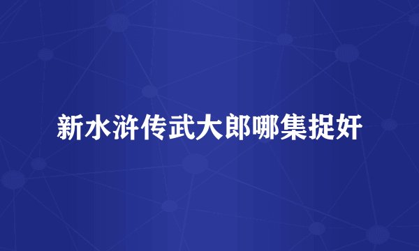 新水浒传武大郎哪集捉奸