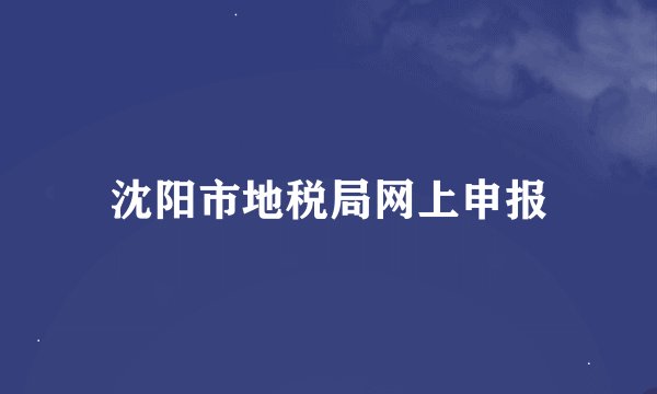 沈阳市地税局网上申报