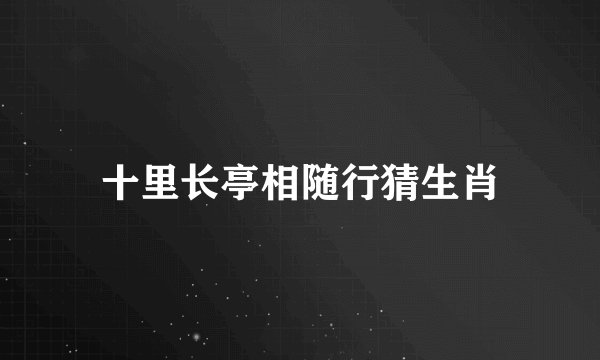 十里长亭相随行猜生肖