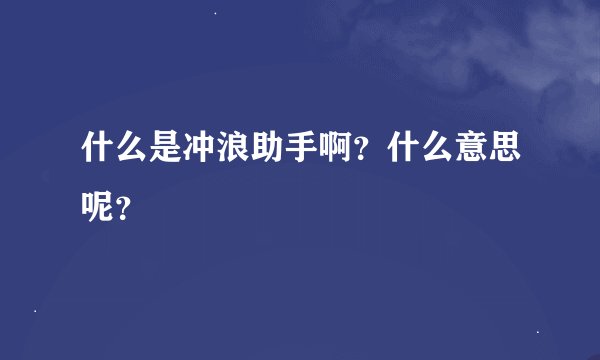 什么是冲浪助手啊？什么意思呢？