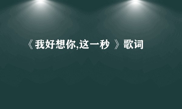 《我好想你,这一秒 》歌词