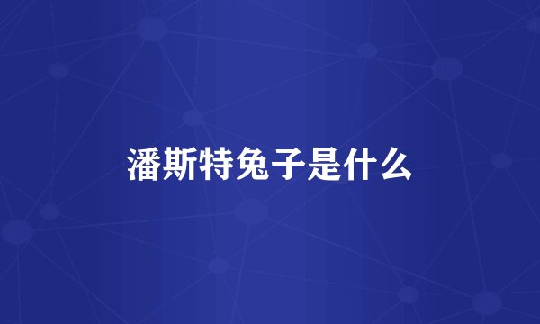 潘斯特兔子是什么