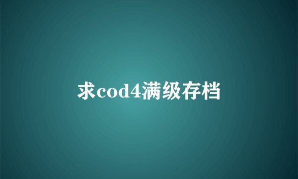 求cod4满级存档