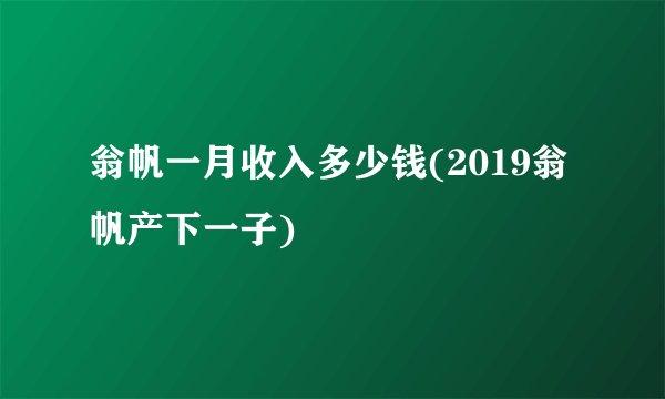 翁帆一月收入多少钱(2019翁帆产下一子)