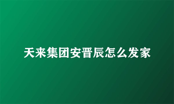 天来集团安晋辰怎么发家