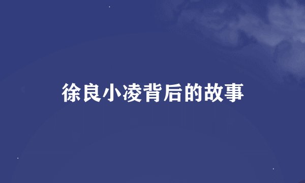 徐良小凌背后的故事