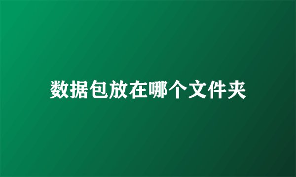 数据包放在哪个文件夹