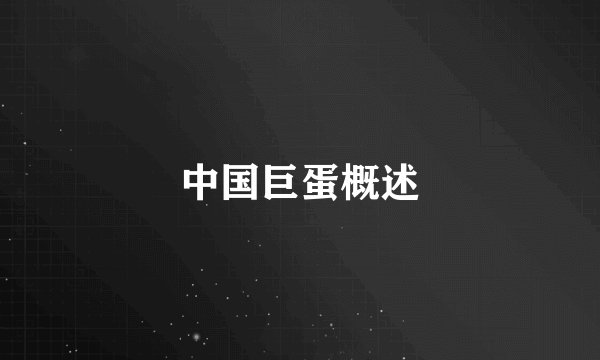 中国巨蛋概述