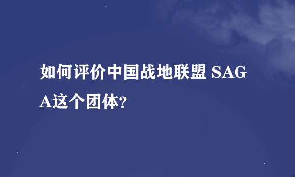 如何评价中国战地联盟 SAGA这个团体？
