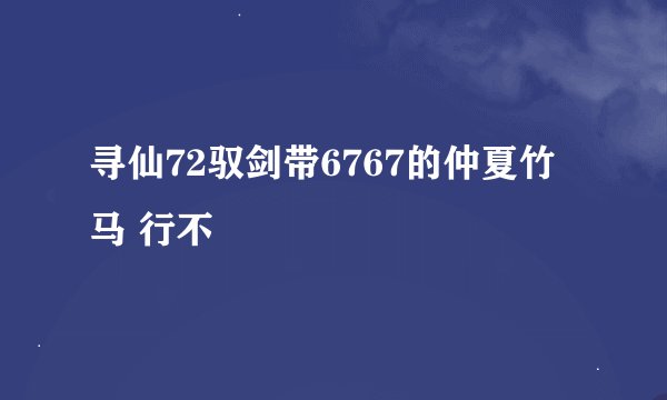 寻仙72驭剑带6767的仲夏竹马 行不