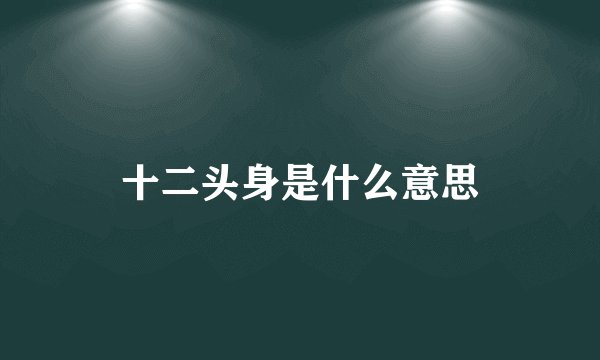 十二头身是什么意思