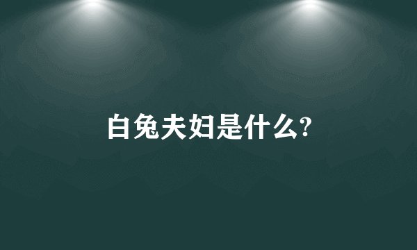 白兔夫妇是什么?