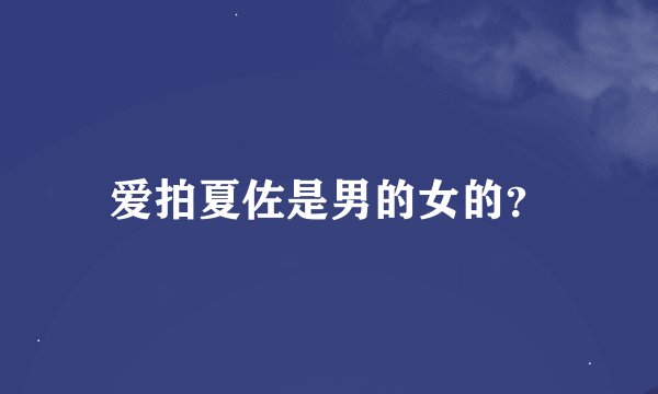 爱拍夏佐是男的女的?