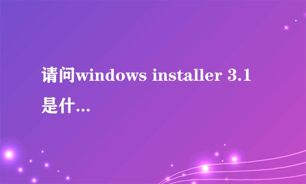 请问windows installer 3.1是什么程序啊
