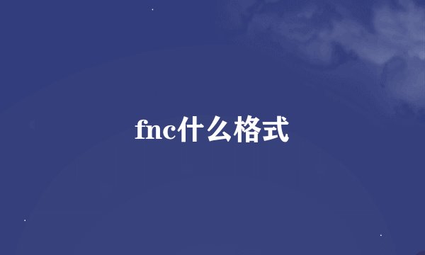 fnc什么格式