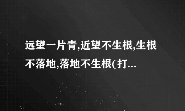 远望一片青,近望不生根,生根不落地,落地不生根(打一植物)谜底及原因