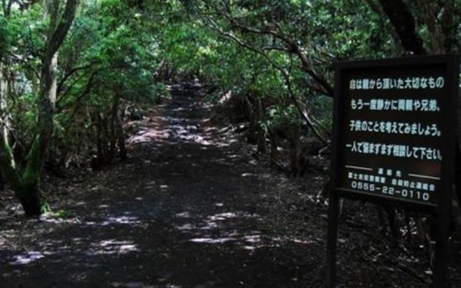 峨眉山山林发现两具尸体,从细节看是自杀还是意外身亡?