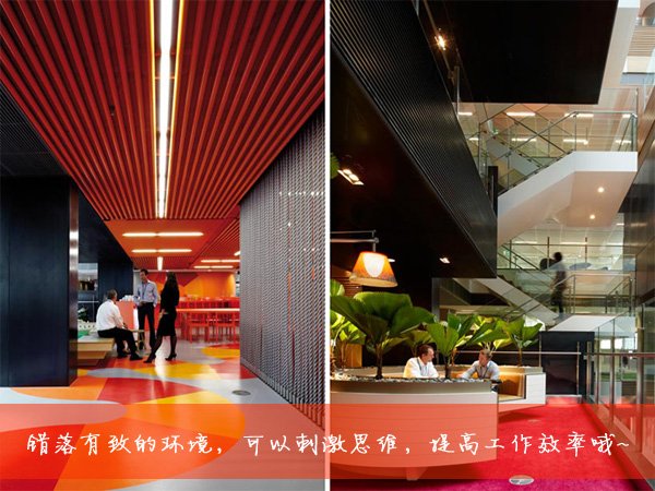 第五街减肥网的介绍